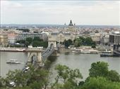 Chain Bridge: by joanevans, Views[398]
