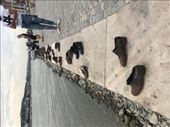 Jewish shoe memorial to victims of Danube shooting: by joanevans, Views[500]