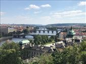 by joanevans, Views[450]
