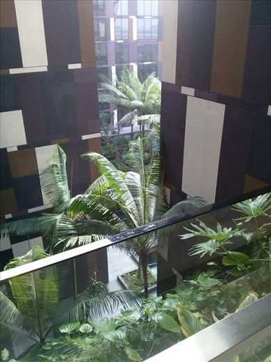 Can you spot the pool?