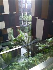 Can you spot the pool?: by joanimil, Views[184]