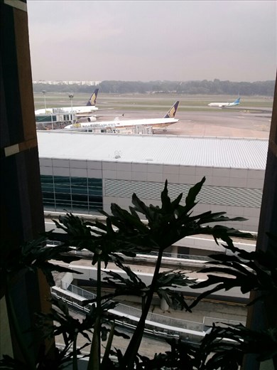 Can you spot the Sky Train?