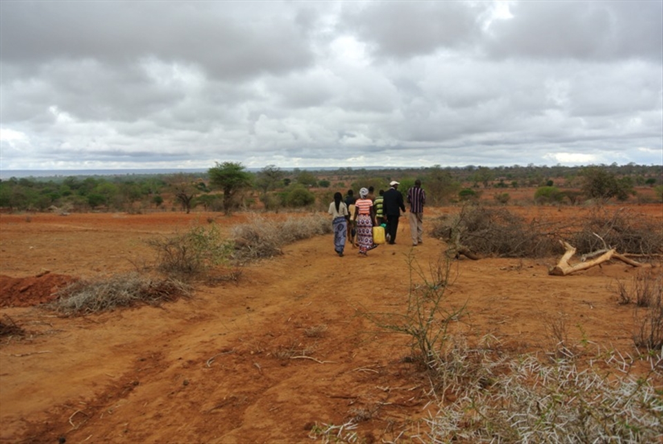 Joseph and his family  trek to his second cassava farm.