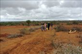 Joseph and his family  trek to his second cassava farm.: by joankabugu, Views[332]