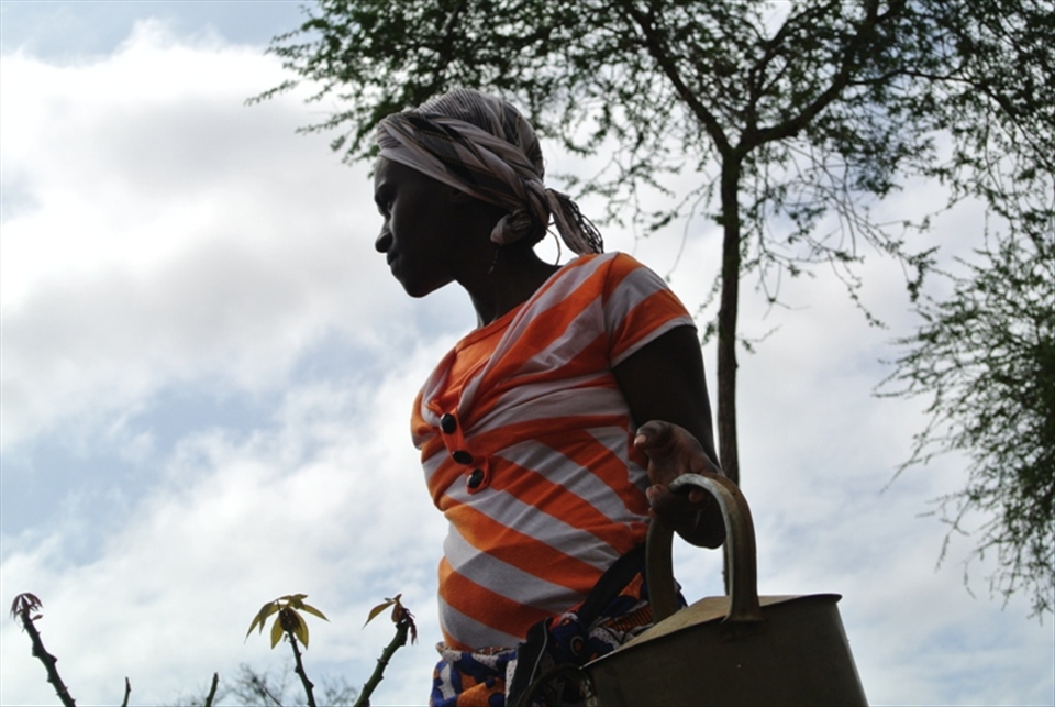 Faith, Joseph's daughter in law takes a break and reflects at midday