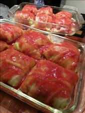 by joanna, Views[164]