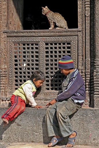 The cat is tethered to the temple as its his job to keep the rodents down
