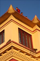 Monks sitting up above the crowds and the monkeys always looking for trouble. : by jodiest, Views[261]