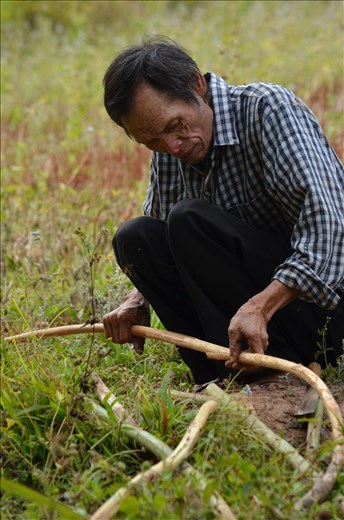 We came across this farmer and his wife on our way back to the village on our final day. They both hike several hours every day to sell drinks to the ten or so travellers who cross this path. 

While she was selling the drinks, we watched him gather wood, use his knife to take the bark off and make it smooth, then begin to place it together  to fix his gate which had been broken. He worked so effortlessly and quietly, we all sat in silence watching him.