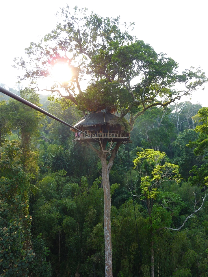 The treehouse we called home on our second night. 300m above ground, only accessible via zipline and so high it sways in the wind! For one night it was home to six weary travellers and possibly over one hundred gigantic spiders.

You can't explain how you feel to sleep above the highest canopy if the jungle and wake up to mother nature and all it has to offer!