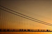 Pilgrims using the Laxman Jhula to cross over the river Ganges. It is believed that Lakshman, brother of the Hindu god Ram, crossed the river using jute ropes at the place where this bridge is now built.: by joecyriac, Views[727]