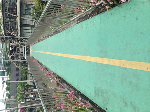 Bridge to Flower Market