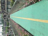 Bridge to Flower Market: by joegoes, Views[152]