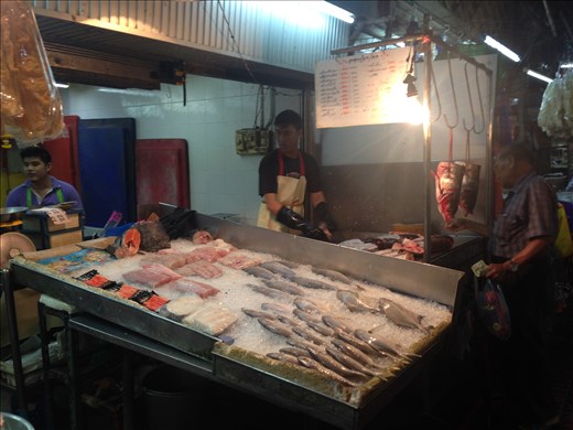 Here fishy fishy fishy