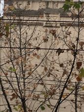 by joevsworld, Views[448]