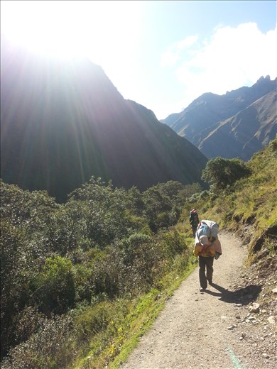 The incredible porters