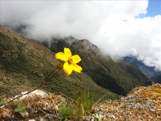 View from Sayacmarca Ruins