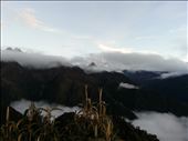 Pass 3 views: by joeynash, Views[155]