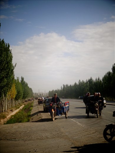 Uyghur farmers and their sons roll in early to Kasghar's cattle market.