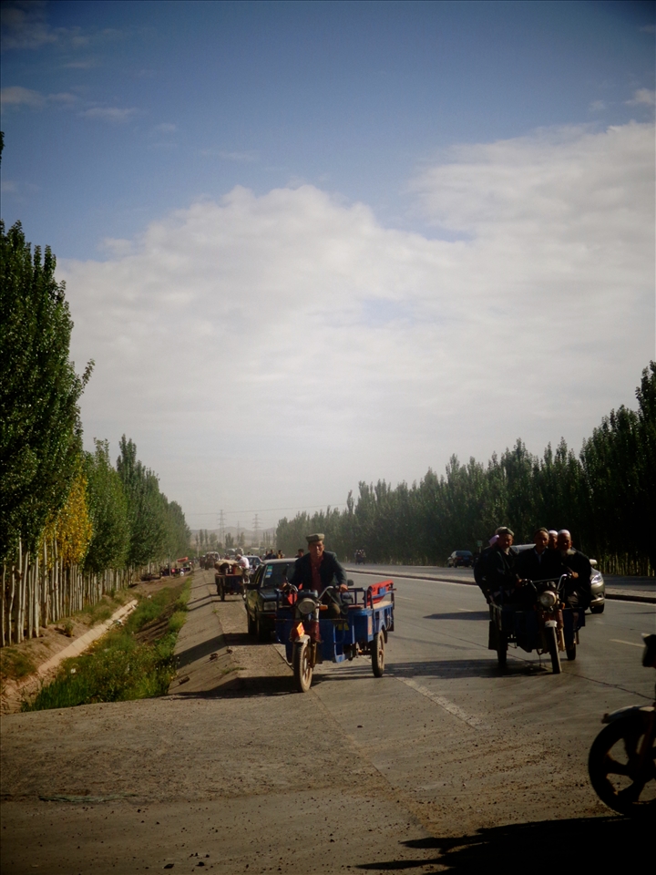Uyghur farmers and their sons roll in early to Kasghar's cattle market.
