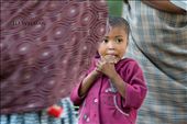 A child stands among a group of dancing women. The women in the tribe dance and engage in traditional games to entertain visiting tourists.: by johannes_d_welman, Views[197]