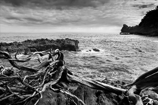 Onomea Falls State Park, Looking out to the ocean a storm is on the way..