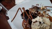 Brownie: by johnsd, Views[326]