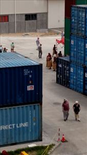 by johnsd, Views[169]