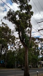 by johnsd, Views[208]