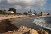 The Beautiful beaches we have in Western Australia. People enjoyed sun-bathing while enjoying the view of ocean after a hard-day at work. : by johnsonlens, Views[774]