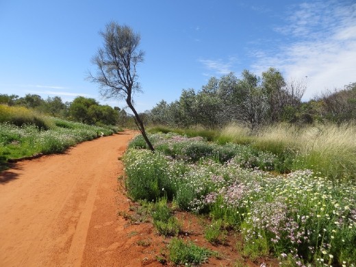 Alice Springs Desert Park