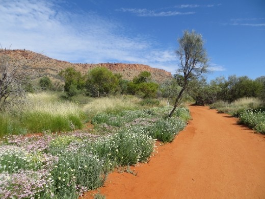 Alice Desert Park