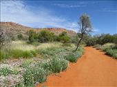 Alice Desert Park: by johnsteel, Views[371]