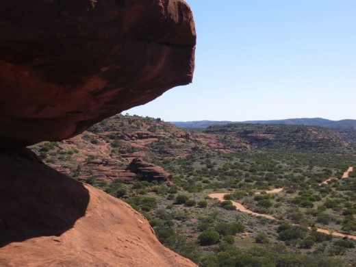 4WD track, Palm Valley