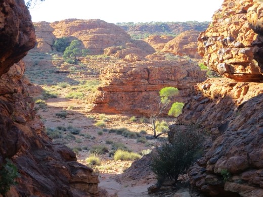 Rim hike, Kings Canyon