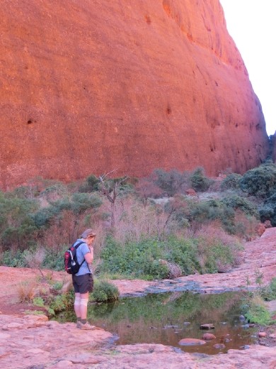 Walpa Gorge, Kata Tjuta