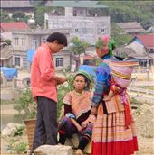 Deal done at the Buffalo market: by johnsteel, Views[380]