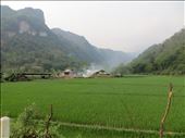 Rice paddy in a peaceful valley: by johnsteel, Views[279]