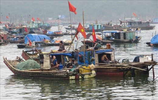 Fishing group Cat Ba