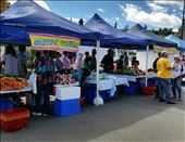 Harvest Markets Launceston: by johnsteel, Views[321]