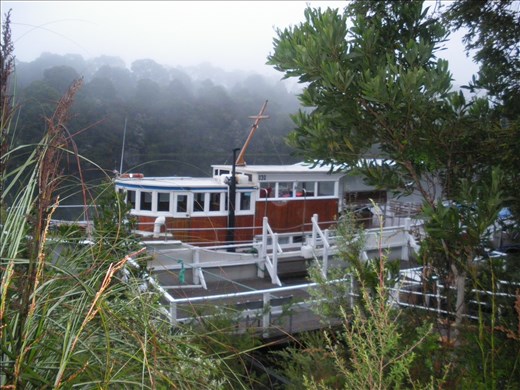 Arcadia 2 on the Pieman River