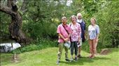 Wychwood Gardens with friends: by johnsteel, Views[438]