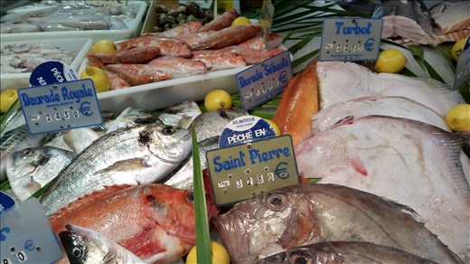 Fish Market Paris