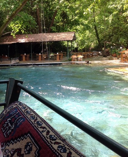 Yesil Vadi, The hills, Dalyan Trout from the stream.