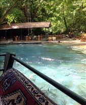 Yesil Vadi, The hills, Dalyan Trout from the stream.: by johnsteel, Views[306]