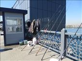 Fishing Rods, Galata Bridge Istanbul: by johnsteel, Views[249]