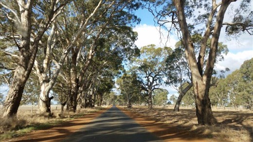 On the road, Victoria.