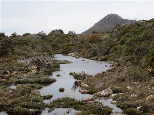 A wet track on Hartz Mountain