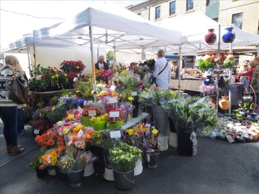 Flower stall, Salamanca Markets