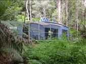 Cabin at Huon Bush Retreats: by johnsteel, Views[274]